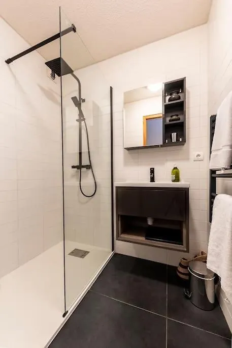 Morzine Apartment